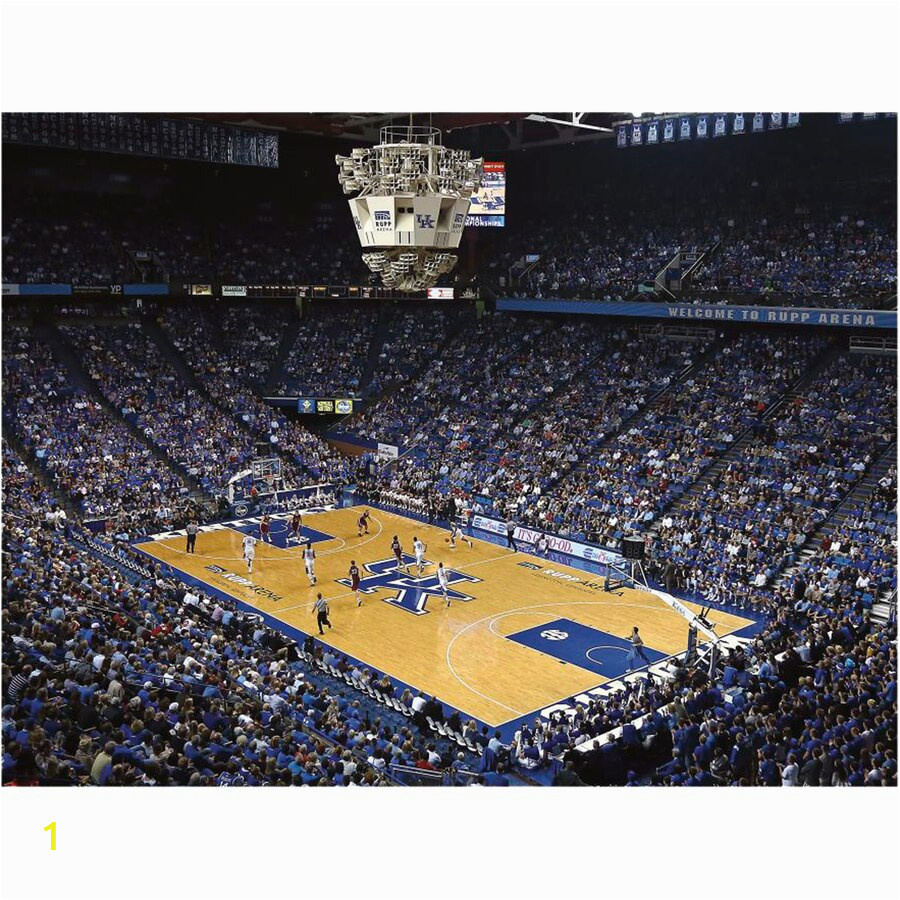 University Of Kentucky Wall Mural Fathead Kentucky Wildcats Giant Removable Wall Mural