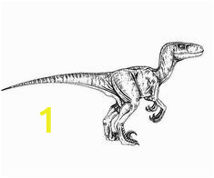 Velociraptor Blue Jurassic World Coloring Pages 834 Best Dinosaurs Coloring Images In 2020