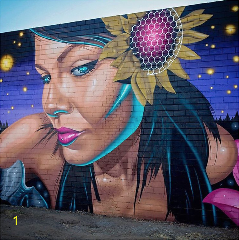 Wall Mural Artist Los Angeles Pin On Artwork