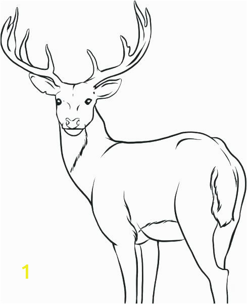 baby deer coloring pages 19