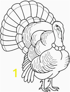 Wild Turkey Coloring Page 1492 Gambar Printable Turkey Coloring Page Terbaik