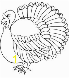 faaad e00f22d3566b23 wild turkey coloring sheets