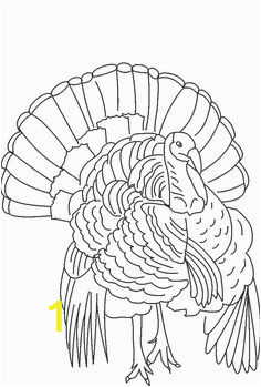 29e0bb236c8216b7d71aa48e5d5768e9 turkey coloring pages thanksgiving coloring pages