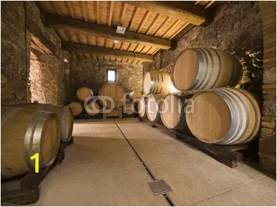 oak wine barrels in winery cellar webp