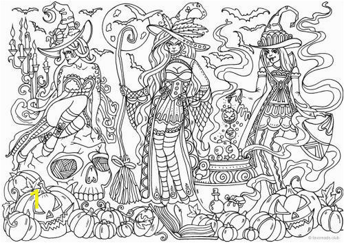 Witch Coloring Pages for Adults Witches Artwork Trace and Color
