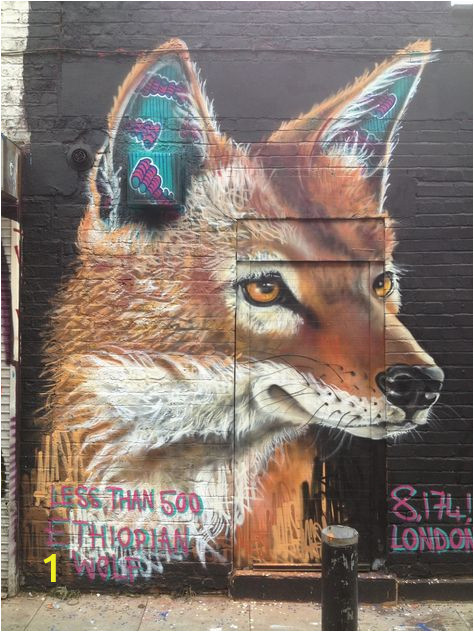 Wolf Of Wall Street Mural Ethiopian Wolf