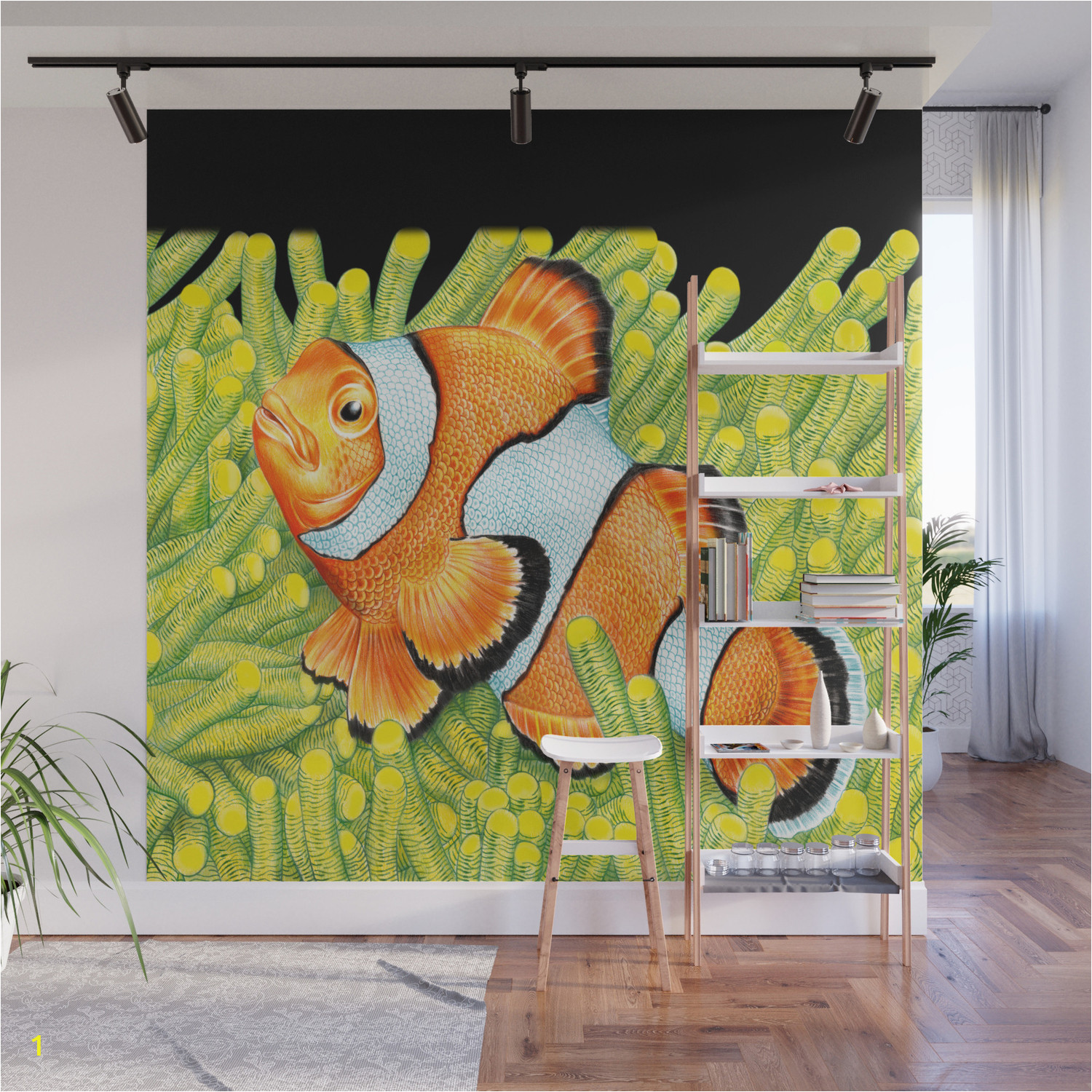 clownfish wall murals