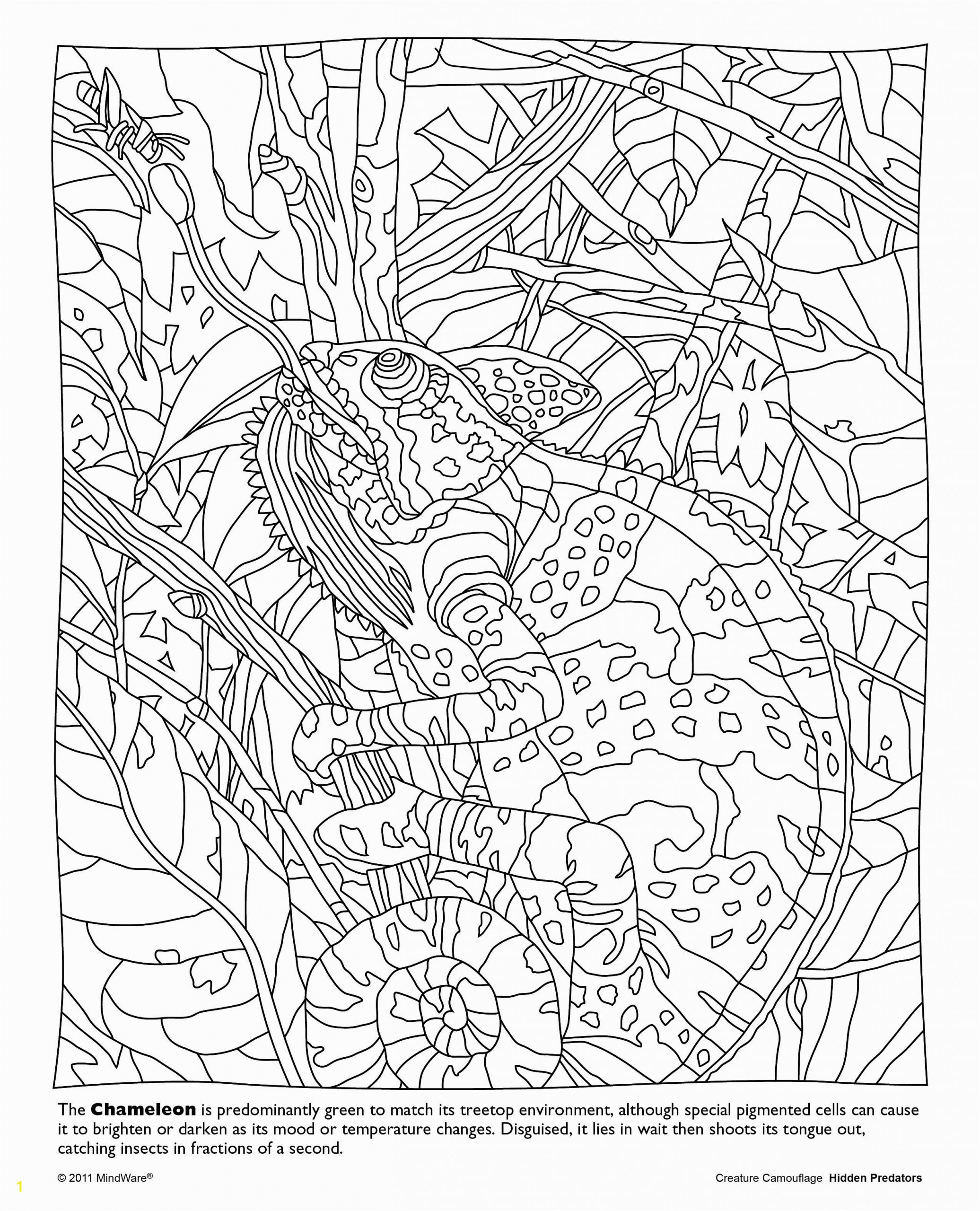 Color by Number Animal Coloring Pages Hidden Predators Coloring Book Mindware