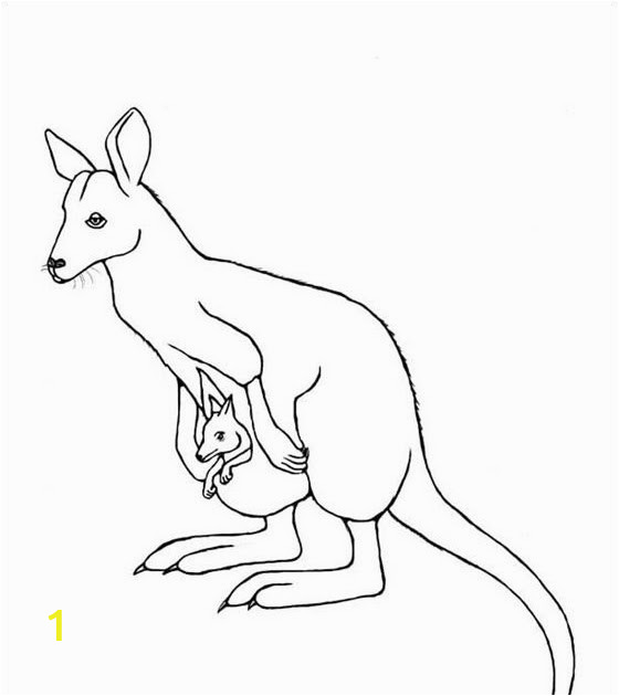 Color by Number Kangaroo Coloring Page Unique Coloring Pages Kangaroos Coloring Mantap