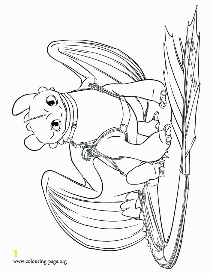Coloring Book How to Train Your Dragon How to Train Your Dragon 2 Older toothless Coloring Page