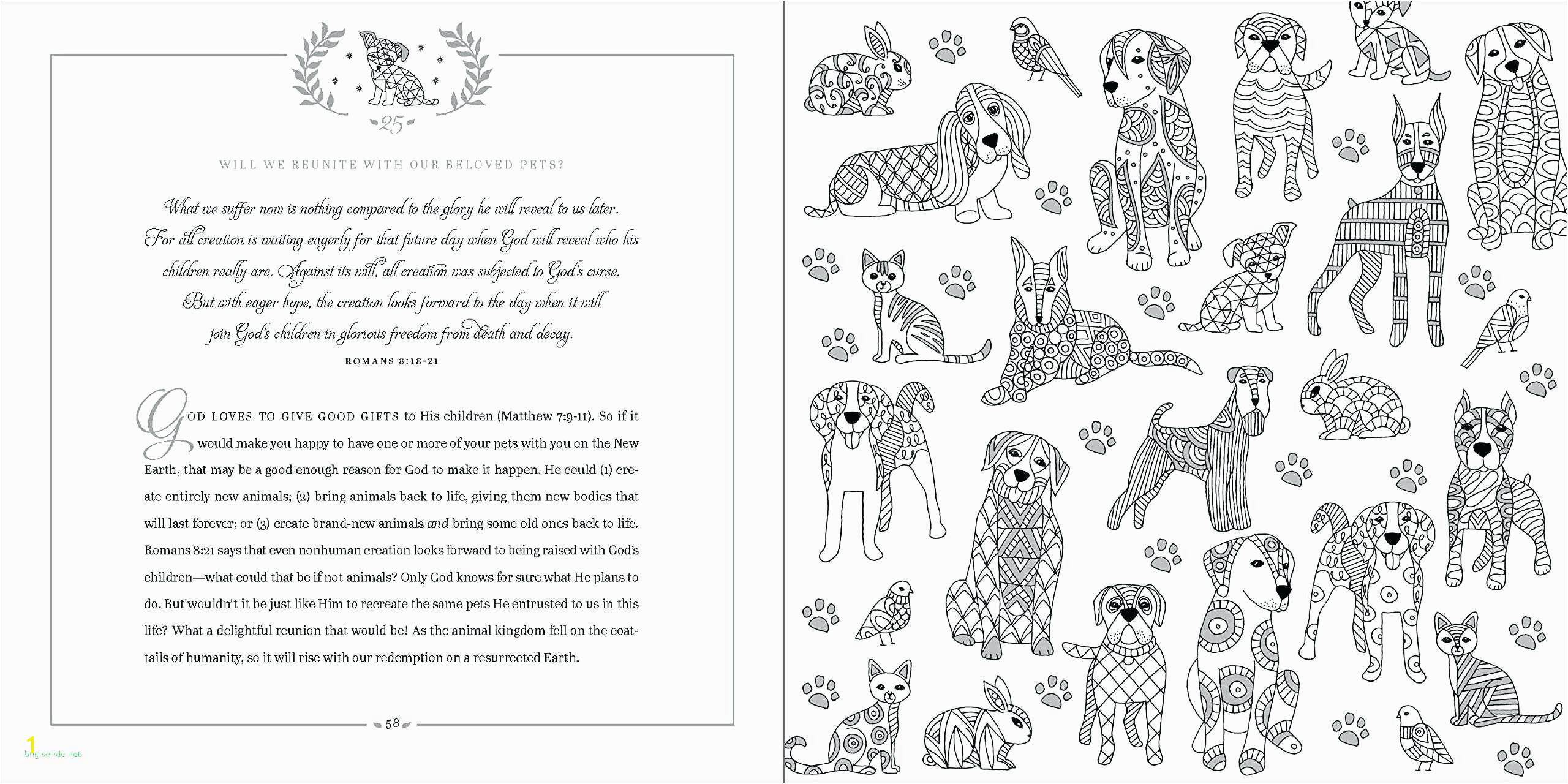 Coloring Pages for Adults Animals Coloring Pages Free Animal Coloring Pages for Adults Art