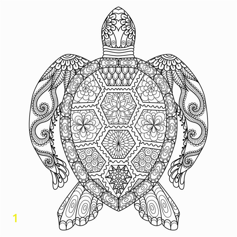 drawing zentangle turtle coloring page shirt design effect logo tattoo decoration