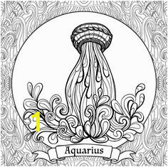 ce6e ef1b028b e669dbf aquarius zodiac zodiac art