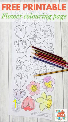 Coloring Pages for Dementia Patients | divyajanan