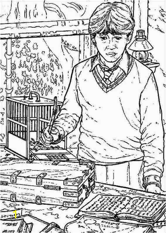 Coloring Pages for Harry Potter Harry Potter 049 Coloring Page