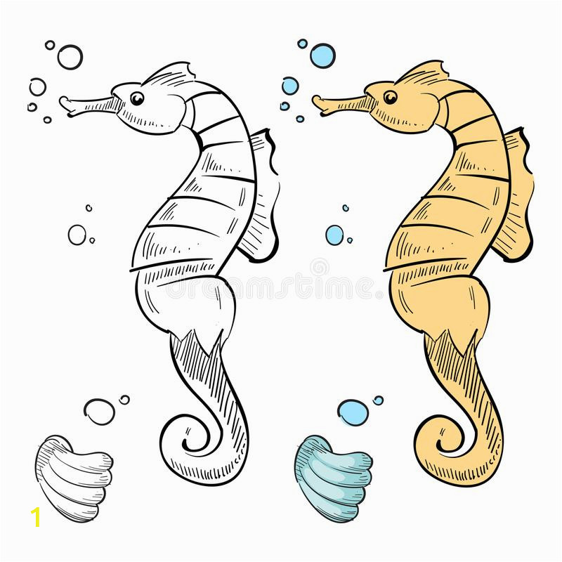 Coloring Pages for Ocean Animals Ocean Wild Life Coloring Hand Drawn Sea Horse and Shell