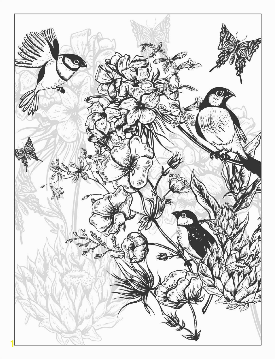 Coloring Pages for Spring Flowers Beautiful Flowers Detailed Floral Designs Coloring Book