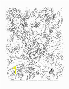 Coloring Pages for Visually Impaired Adults | divyajanani.org