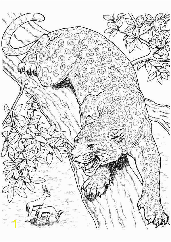 Coloring Pages Of Jaguars Printable 10 Best Jaguar Coloring Pages for Little Es with Images