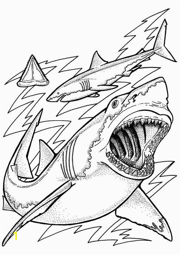 Coloring Pages Of Sharks Printable Print Coloring Image Momjunction