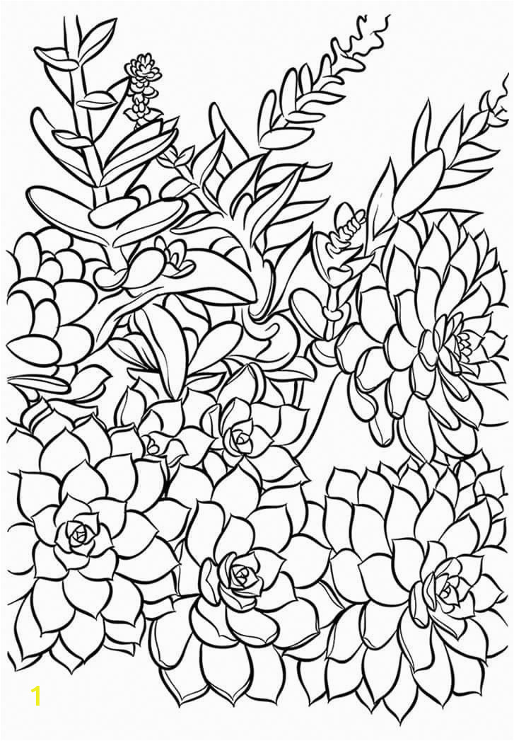 Coloring Pages You Can Print Out Versatile Succulent Cards You Can Print Again and Again