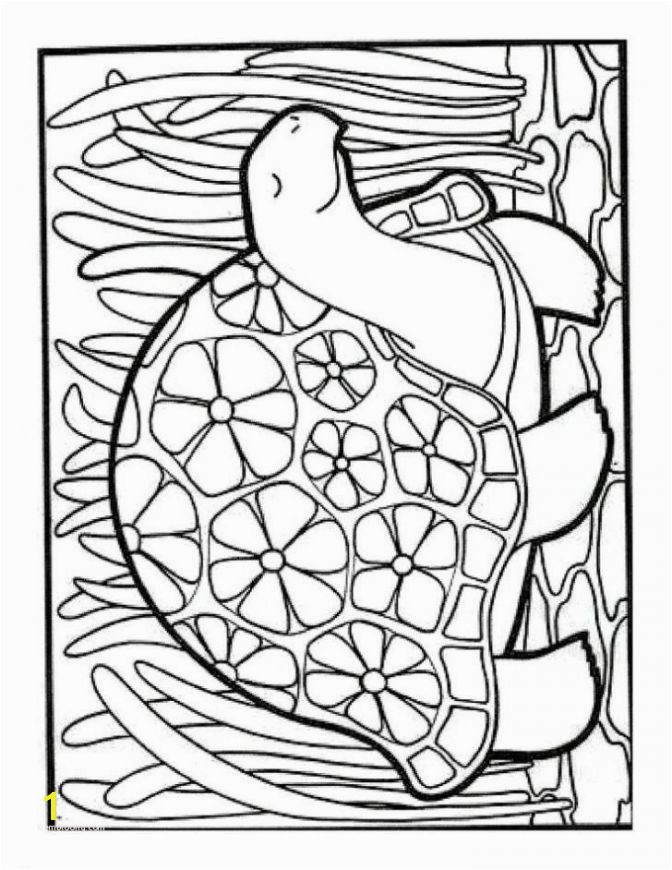 turkey drawing for kids lovely lovely coloring pages dolphin for kids picolour of turkey drawing for kids 672x870