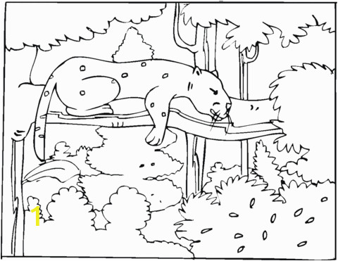 cheetah 24 coloring page