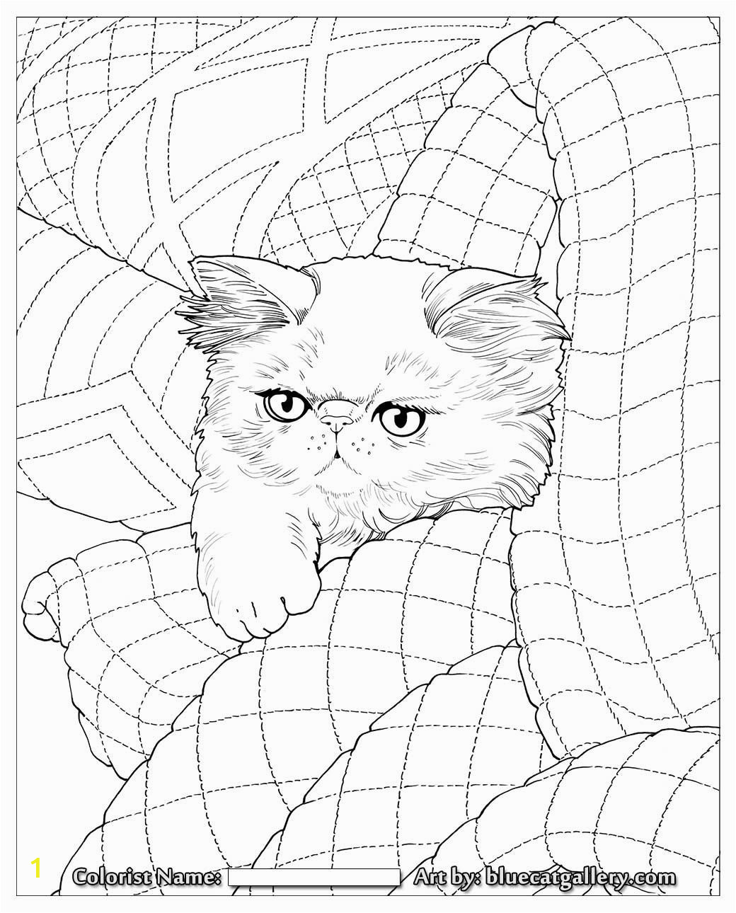 Free Printable Coloring Pages Of Quilts Bluecat Gallery Adult Coloring Books by Jason Hamilton