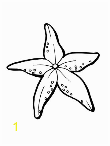 Free Printable X-ray Coloring Pages Realistic Starfish Coloring Page with Images