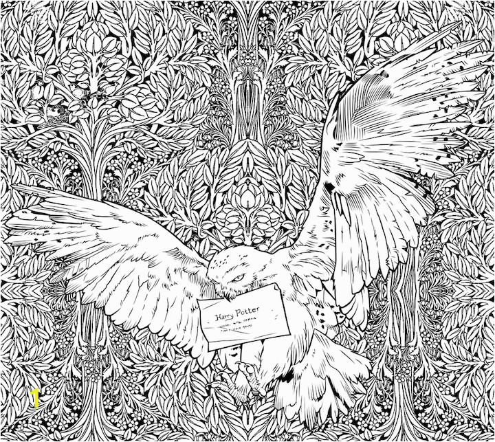 Harry Potter Printable Coloring Pages 22 Harry Potter Printables & Coloring Sheets