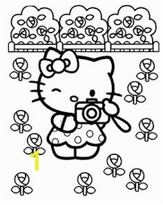 afcf58cc7ad530db1a hello kitty cartoons
