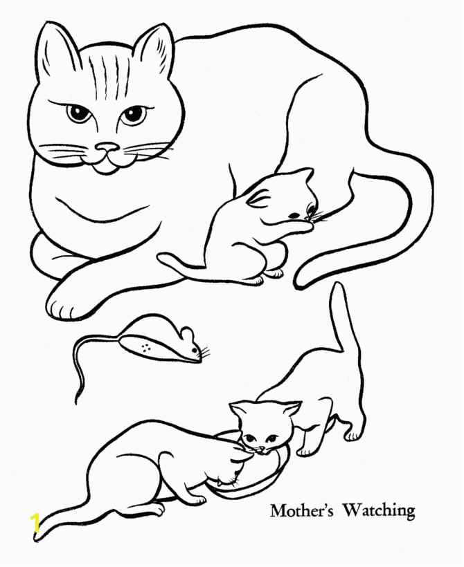 Kitty Cat Coloring Pages Printable Pet Cat Coloring Page