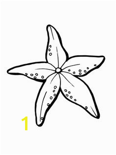 de920d a fbe06e889d7c starfish template fun coloring pages