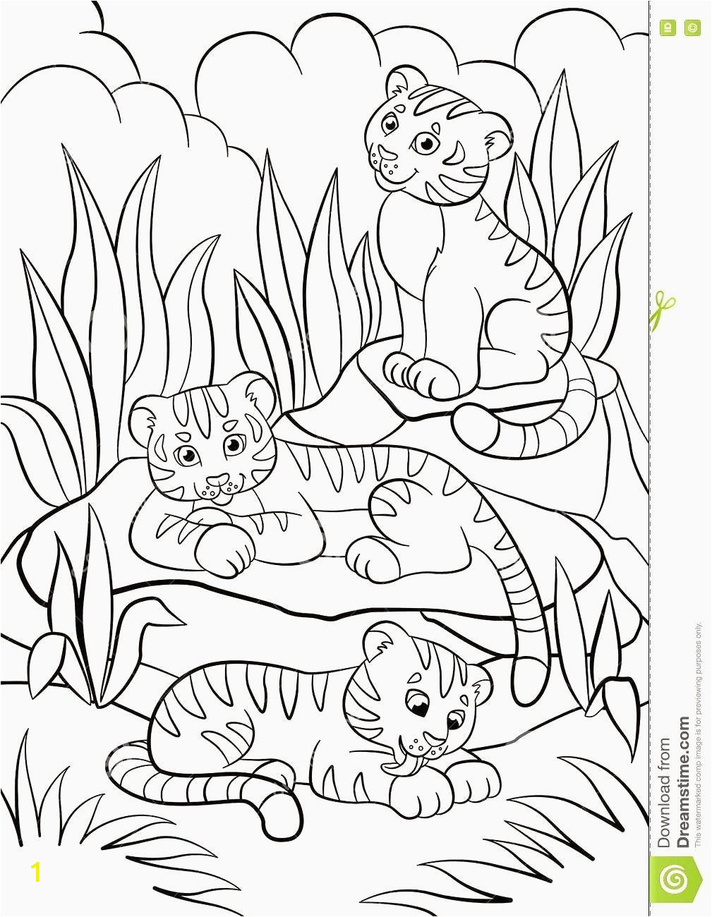 Printable Zoo Animals Coloring Pages | divyajanani.org