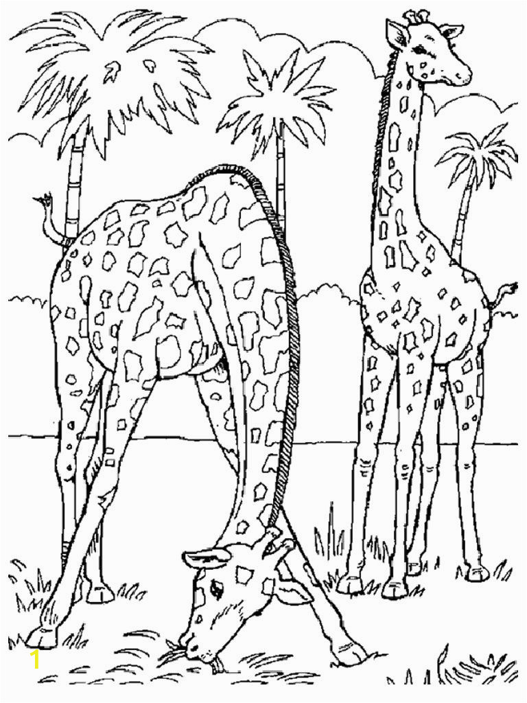 Printable Zoo Animals Coloring Pages | divyajanani.org