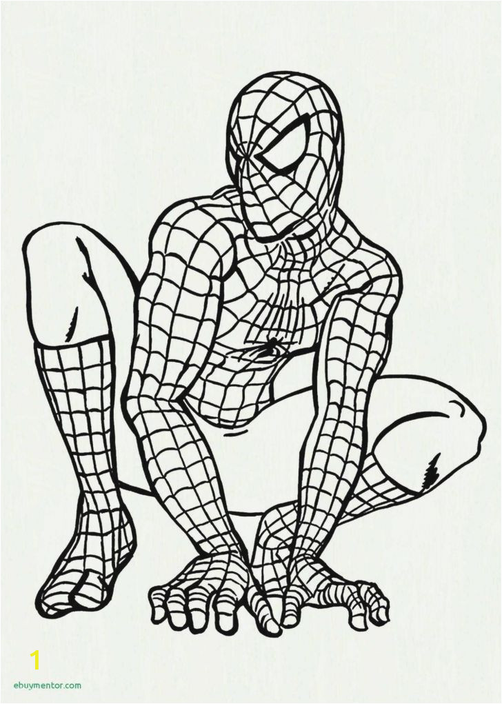 coloring pictures for adults printable beautiful spiderman superhero coloring pages of coloring pictures for adults printable 728x1021