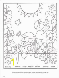 7773c d bd f9dc childrens bible ve ables garden