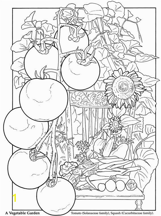 Vegetable Garden Coloring Pages Printable Color with Images