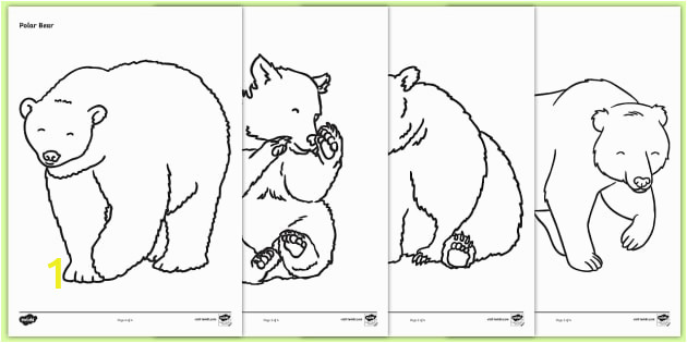 T T 2045 Bears Colouring Sheets ver 3