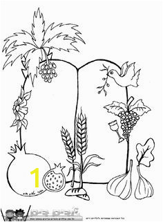 7 Species Of israel Coloring Page A Great Seven Species Coloring Sheet
