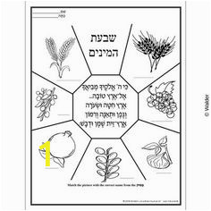 7 Species Of israel Coloring Page the 7 Species Date Fig Olive Pomegranate Grape