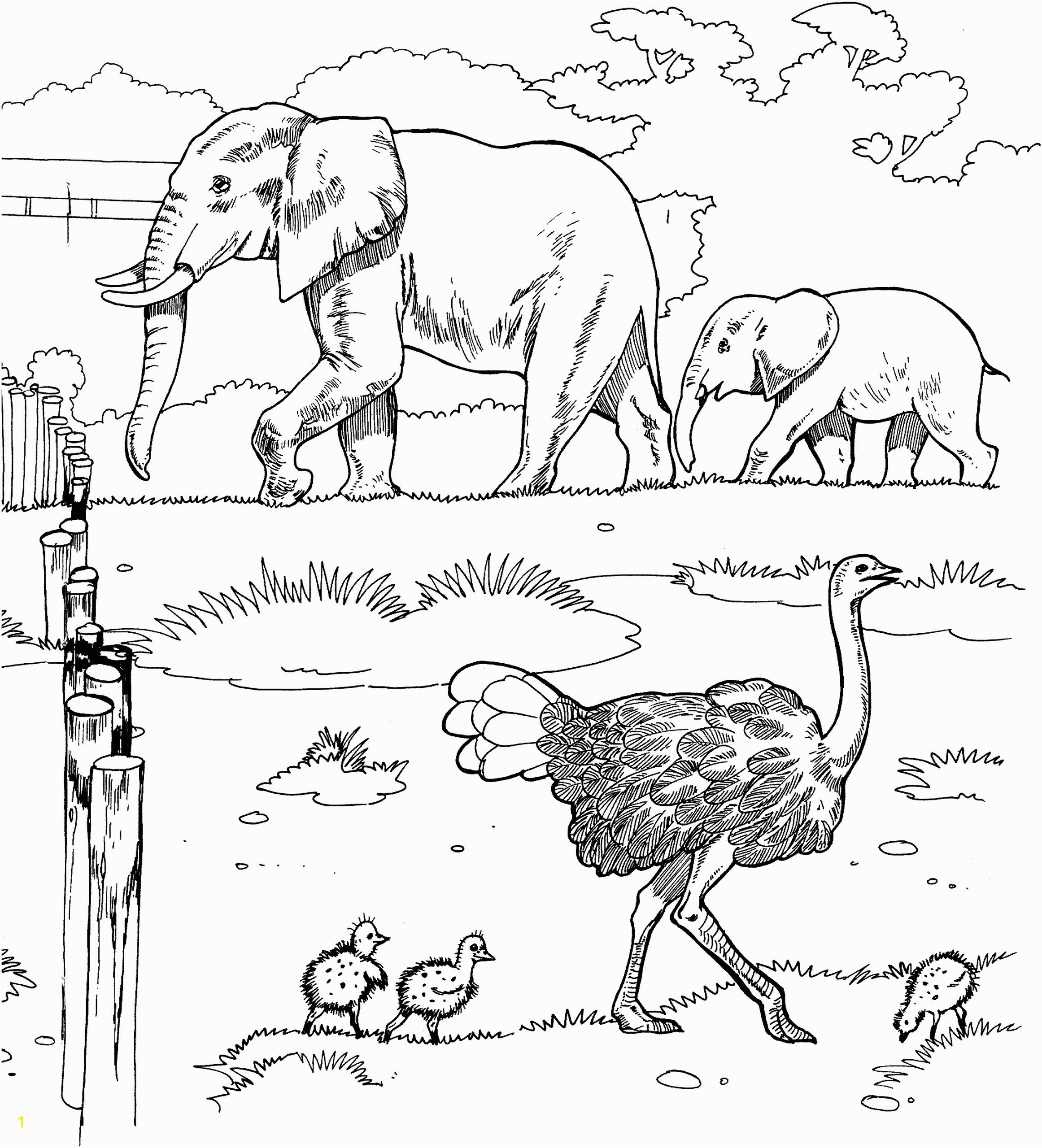 African Animals Coloring Pages for Kids Savanna Coloring Pages Coloring Home