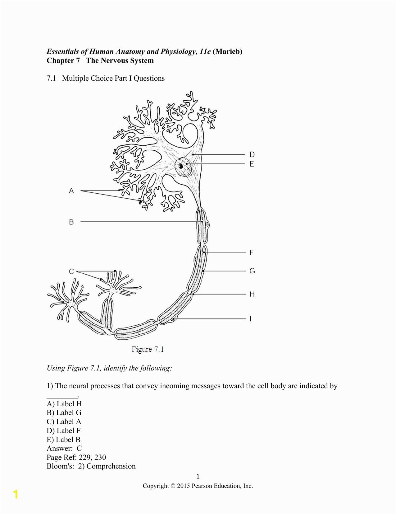 Anatomy and Physiology Coloring Workbook Page 188 Answers Anatomy and Physiology Chapter 3 Coloring Workbook Answers