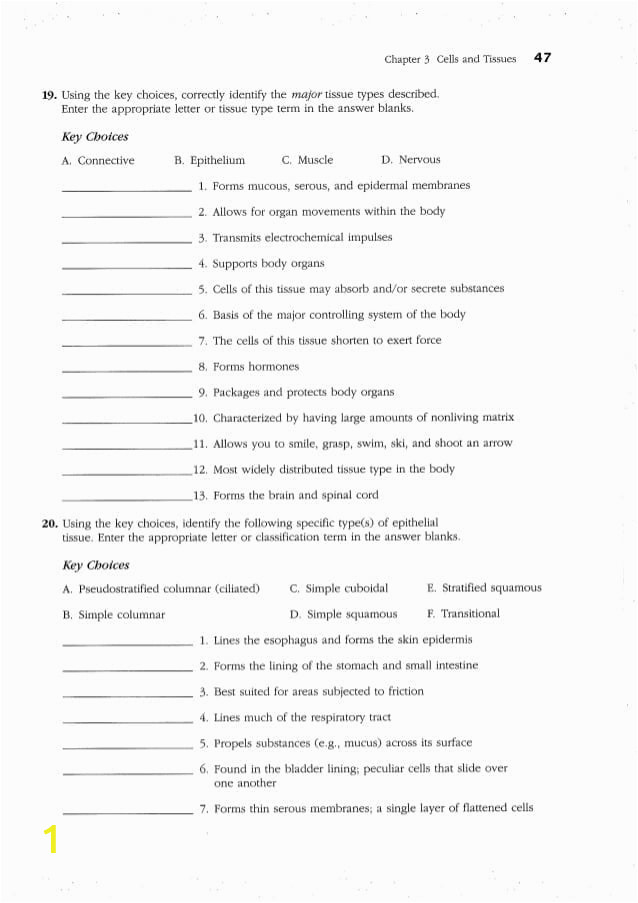 anatomy and physiology coloring workbook answer key chapter 1