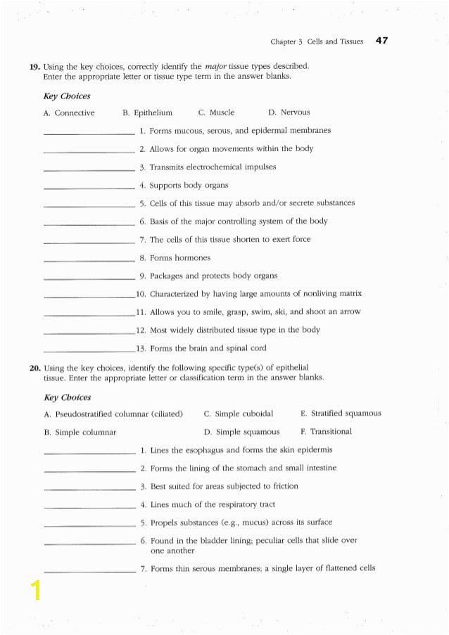 Anatomy and Physiology Coloring Workbook Page 188 Answers Anatomy and Physiology Coloring Workbook Answer Key