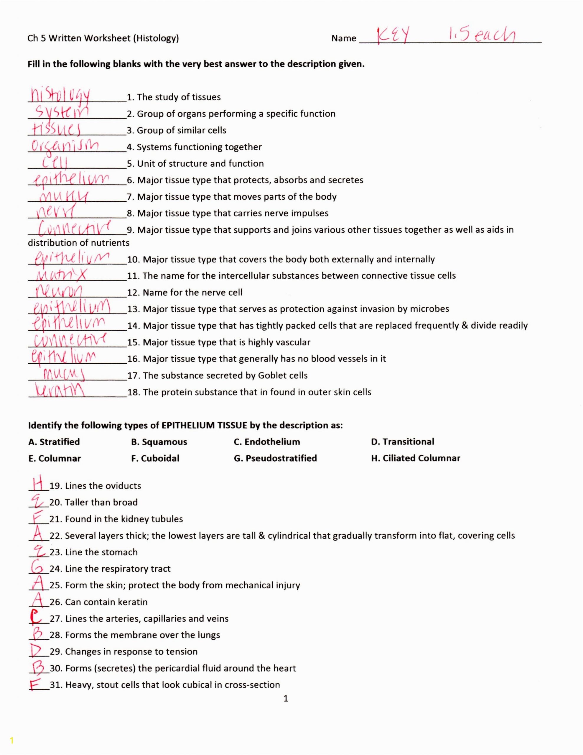 anatomy and physiology coloring workbook answers chapter 5