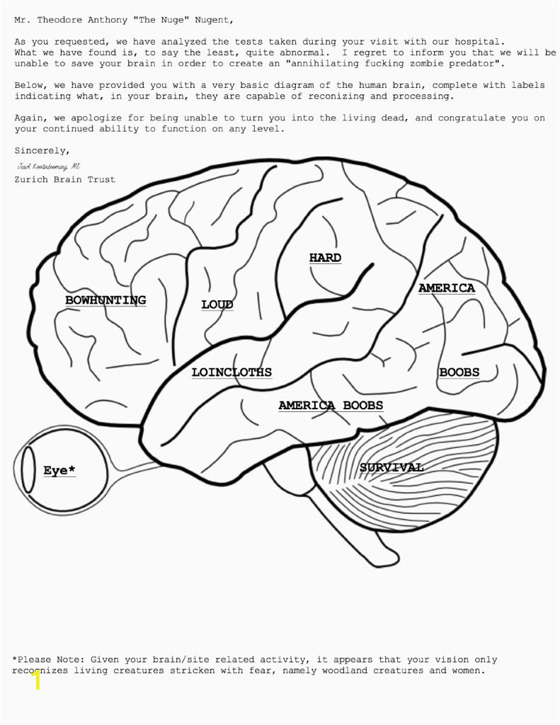 anatomy coloring book pearson human pdf free answers