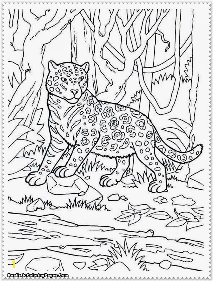 jungle animals coloring pages free