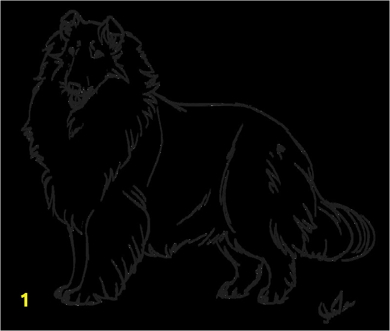 border collie coloring page free printable coloring pages