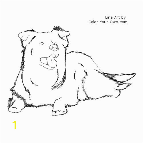 border collie coloring pages to print